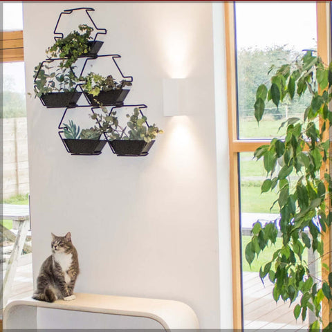 planter stand, wooden planters, hanging planters