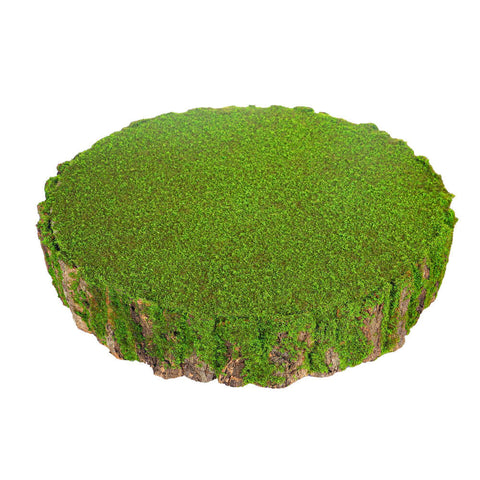 Decorative mossy round green stump