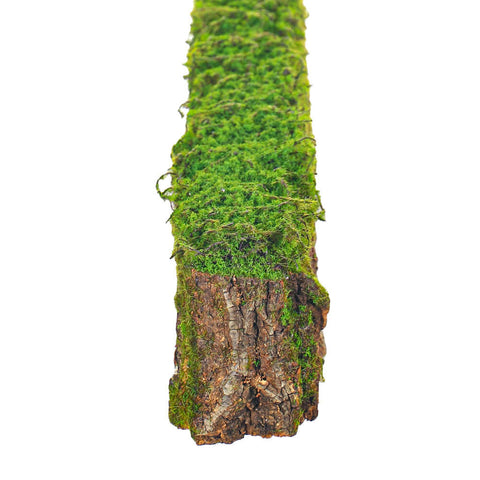 Artificial moss tree stump