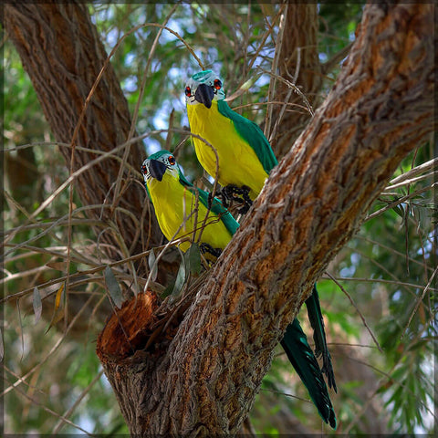 Artificial Parrot, Garden accessories, Parrot