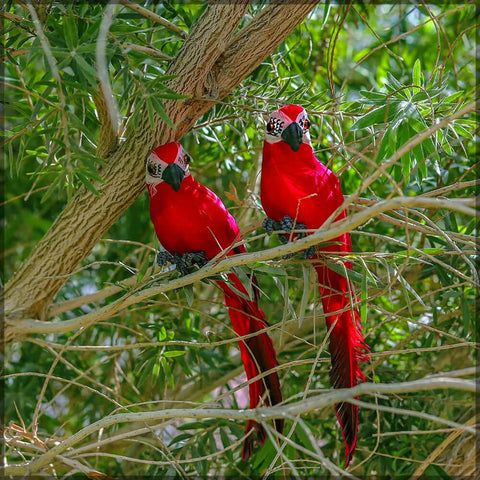 Artificial Parrot, Garden accessories, Parrot