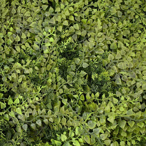 Decorative green wall grass