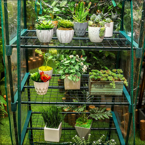 indoor plant shelves
