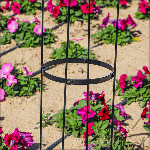 trellis for vines