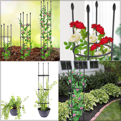 decorative plant trellis