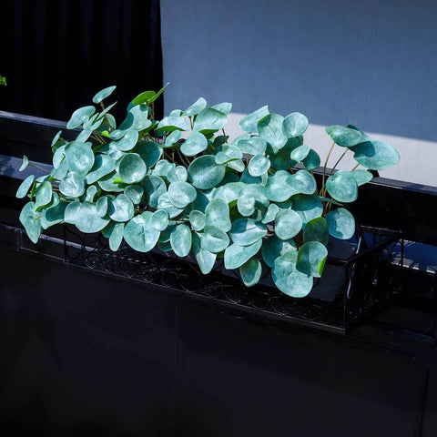 Holding racks, Holding planter, metal hanging planters