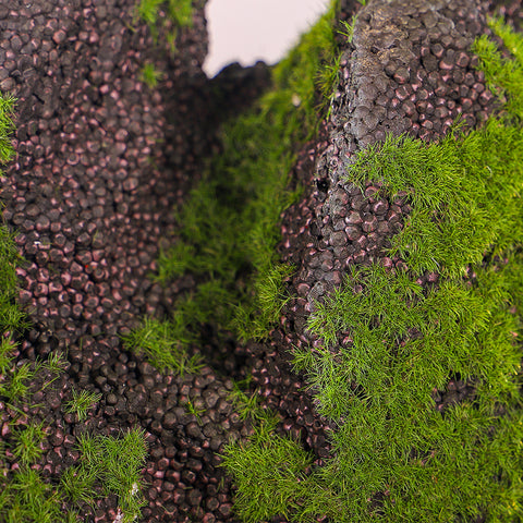 Landscaping stones