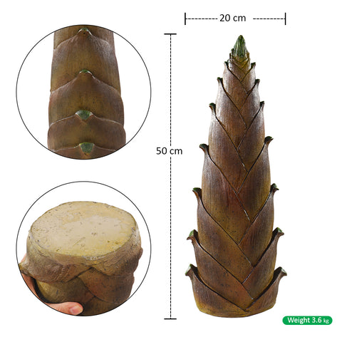 تصميم براعم الخيزران الزخرفية لترتيب المناظر الطبيعية (براعم الخيزران فقط)