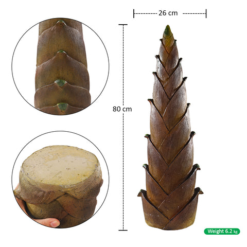 تصميم براعم الخيزران الزخرفية لترتيب المناظر الطبيعية (براعم الخيزران فقط)