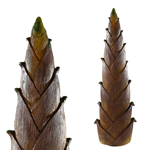 تصميم براعم الخيزران الزخرفية لترتيب المناظر الطبيعية (براعم الخيزران فقط)