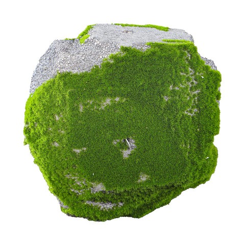 Garden moss