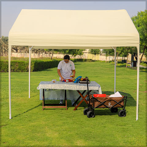 Carport Design Canopy Tent(tent only)