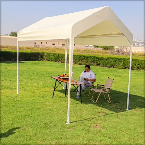 Carport Design Canopy Tent(tent only)