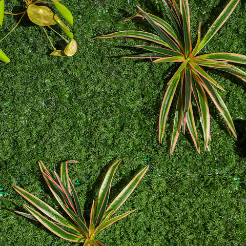 Green panel, Wall decoration, Artificial panel