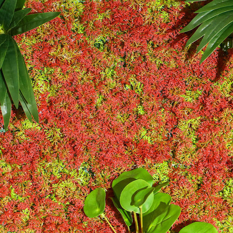 Green panel, Wall decoration, Artificial panel