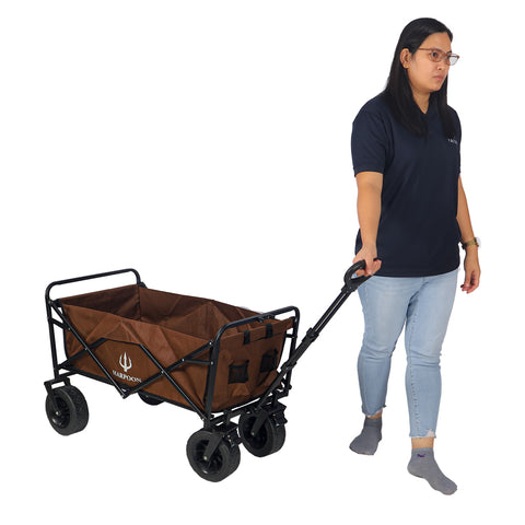 Travel camping cart