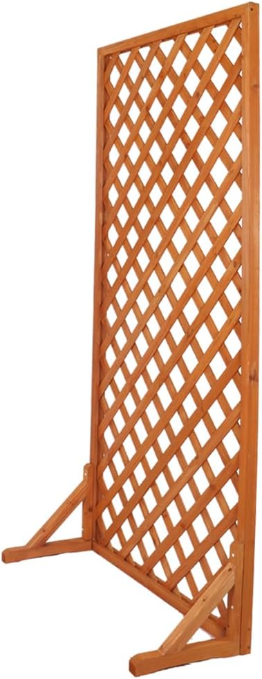 Climbing plant support