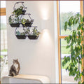 planter stand, wooden planters, hanging planters