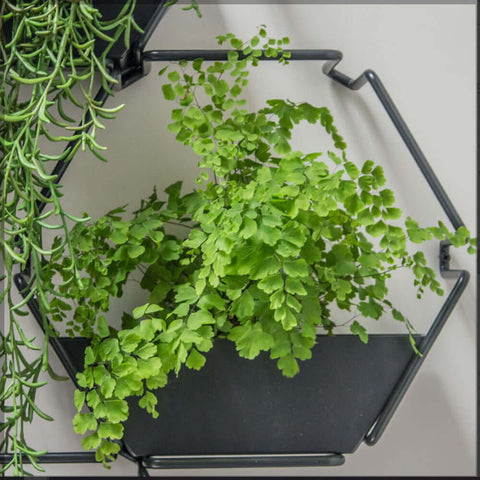 planter stand, wooden planters, hanging planters