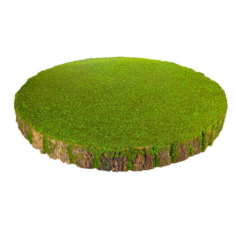 Decorative Mossy Round Green Stump