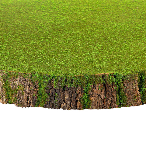 Moss wall, Green wall panel,