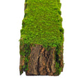 Artificial moss stump
