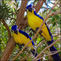 Artificial Parrot, Garden accessories, Parrot
