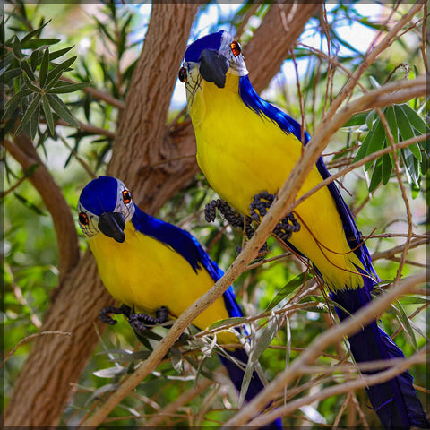 Artificial Parrot, Garden accessories, Parrot