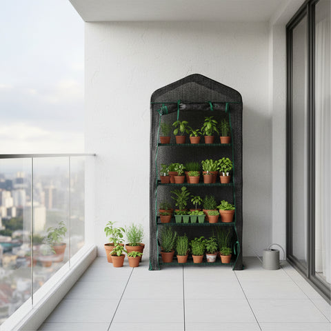 حضانة شتلات