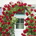 Garden arch, Decorative garden arch