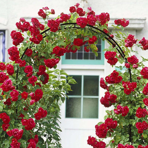 Garden arch, Decorative garden arch