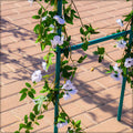Garden arch, Decorative garden arch