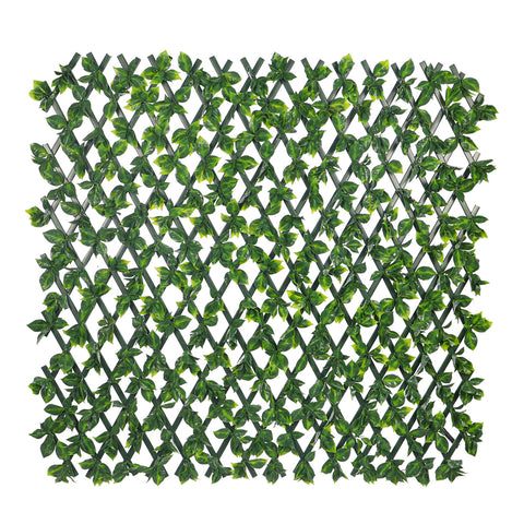 Expandable decorative fence