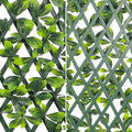 Outdoor privacy fence