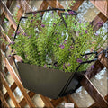 planter stand, wooden planters, hanging planters