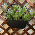 planter stand, wooden planters, hanging planters