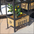 planter stand, wooden planters, hanging planters