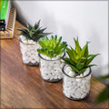 White stone landscaping