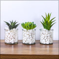 White landscaping pebbles