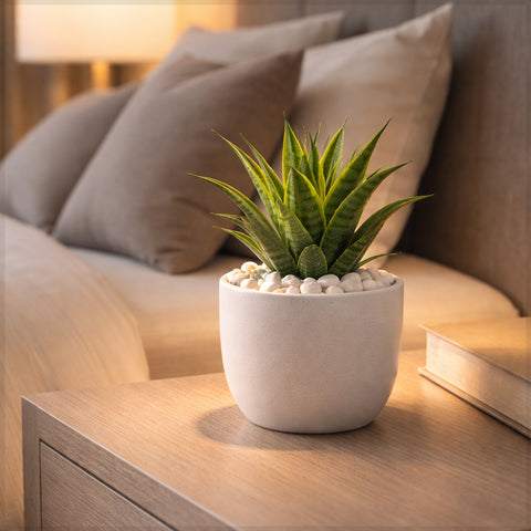 1 كيس من الحجر الأبيض الطبيعي بحجم 0.8 إلى 1 سم (الحجر فقط)