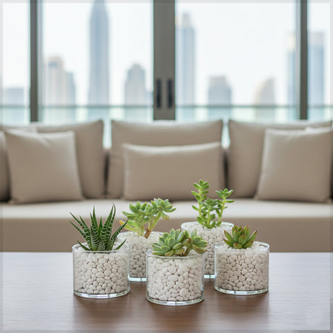 1 كيس من الحجر الأبيض الطبيعي بحجم 0.8 إلى 1 سم (الحجر فقط)