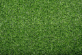 Artificial grass carpet