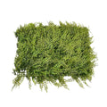 Green panel, Wall decoration, Artificial panel