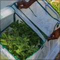 Grow your gardening dreams year-round with our premium Garden Greenhouses! Discover the perfect oasis for plants, no matter the weather.