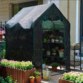 Grow your garden dreams with us! Discover high-quality seedlings at our nursery for a lush, vibrant garden. Perfect starts here!