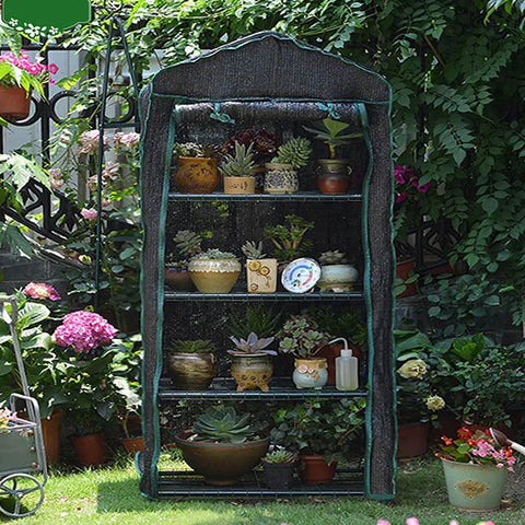 Grow your garden dreams with us! Discover high-quality seedlings at our nursery for a lush, vibrant garden. Perfect starts here!
