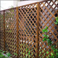 Garden Fence for Climbing Pots & Plants